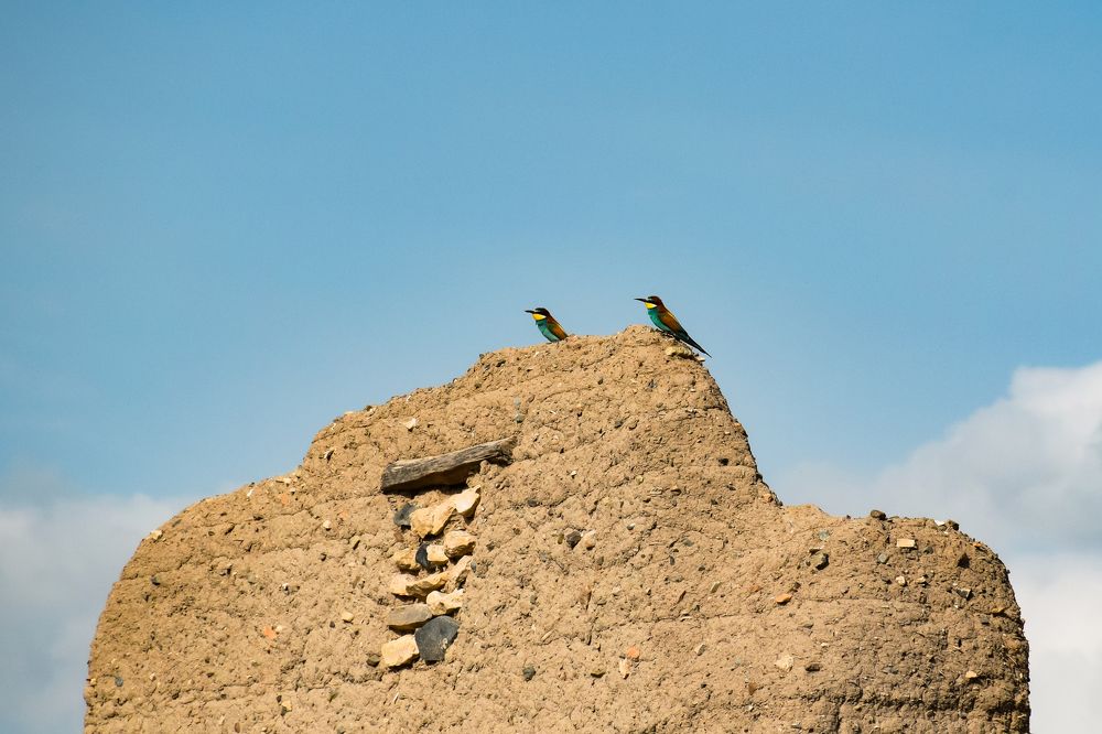 Photograph by Ehsan Fathi