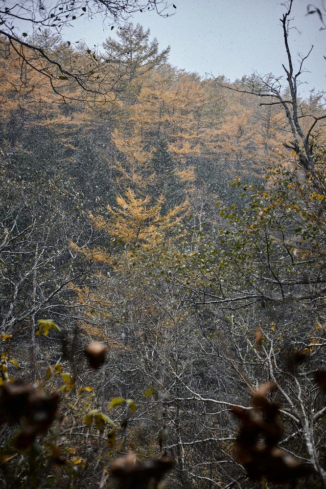 Фотография автора Бороненков Вадим