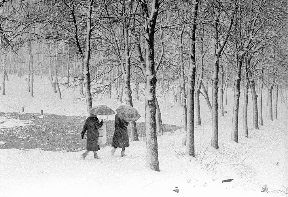 Photograph by Владимир Малёшин