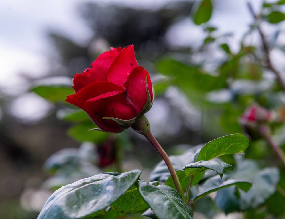 Photograph by Екатерина Крючкова