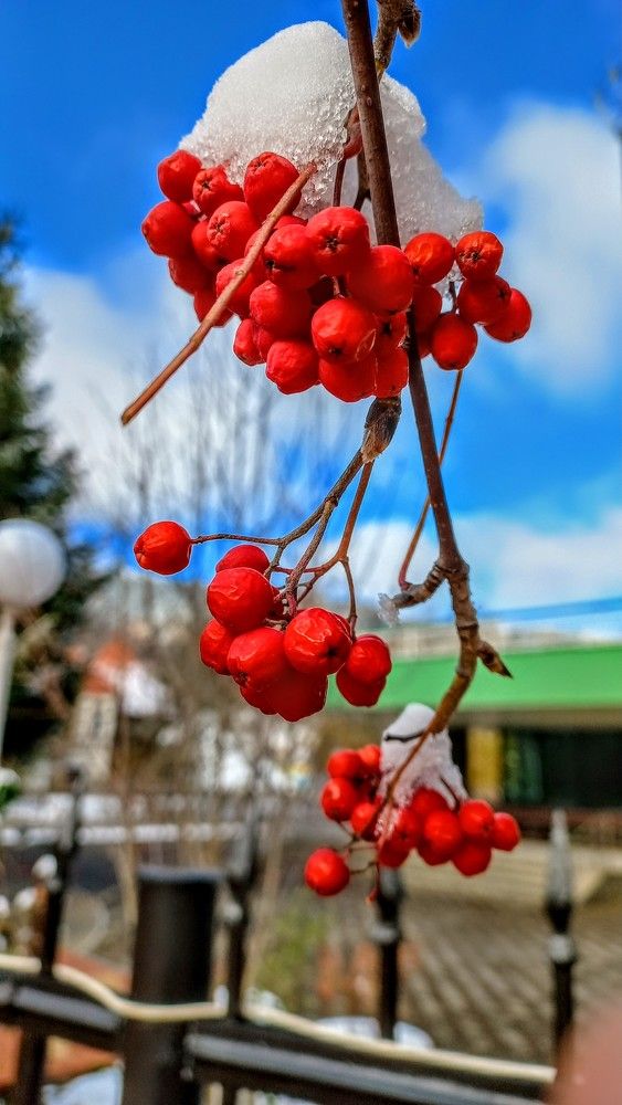 Photograph by Александр