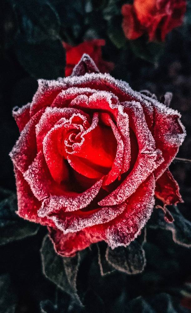 Photograph by Leanid Kulpo