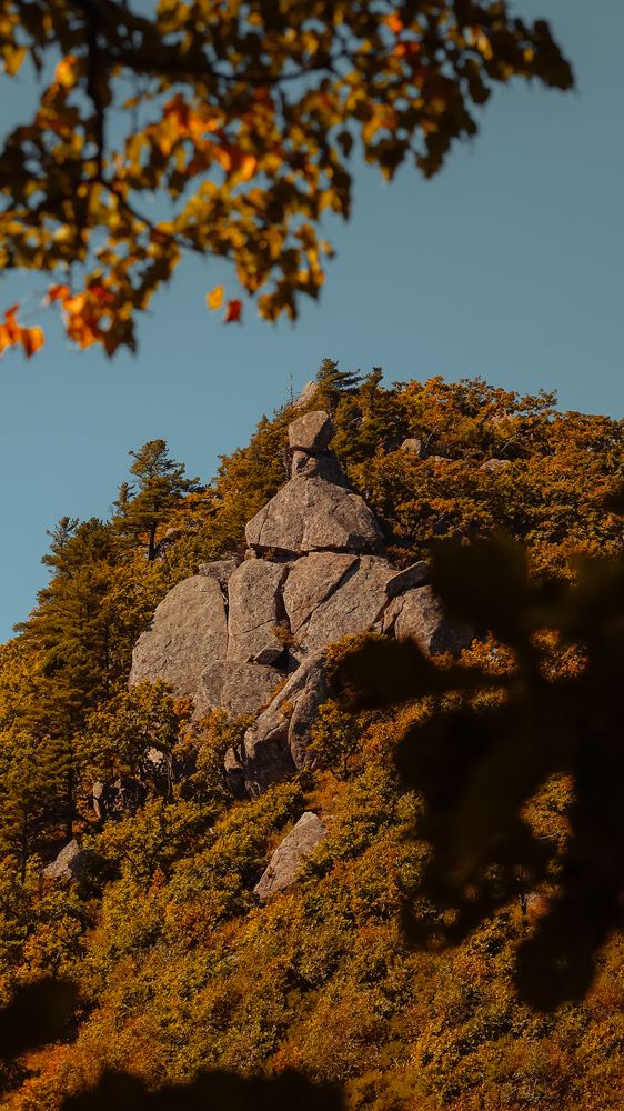 Photograph by Наталья Лобанова