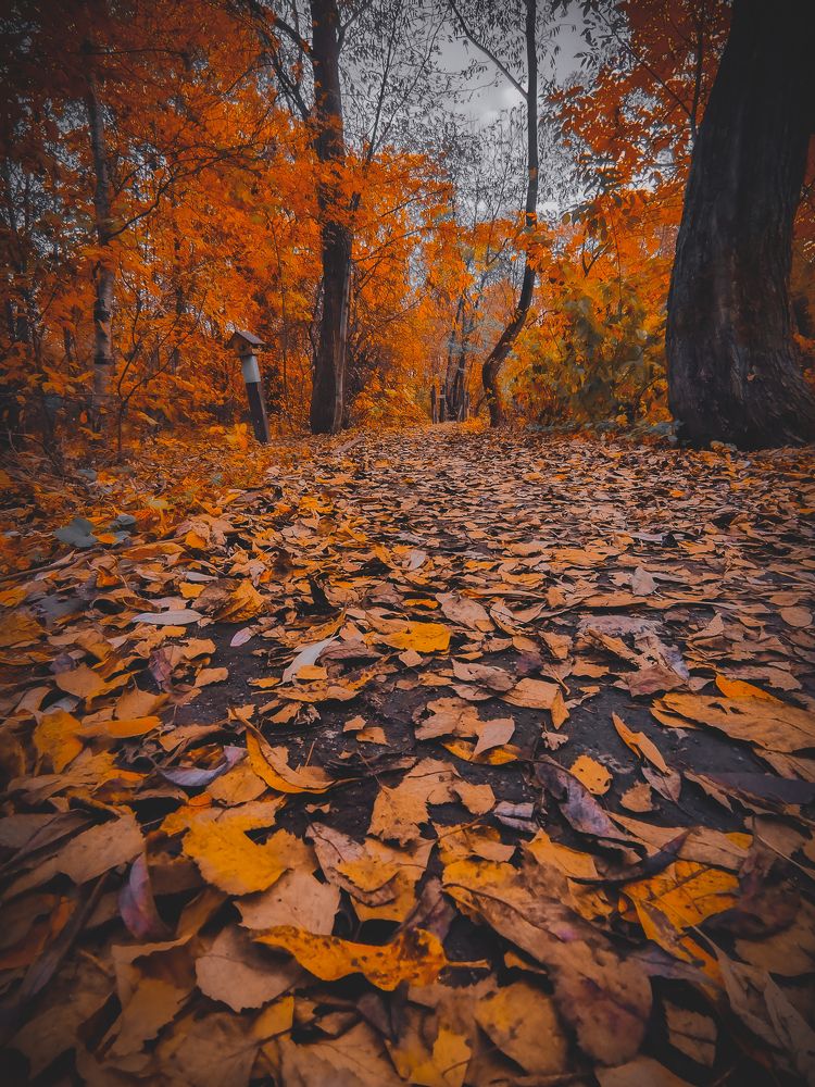 Photograph by Олег Догонов