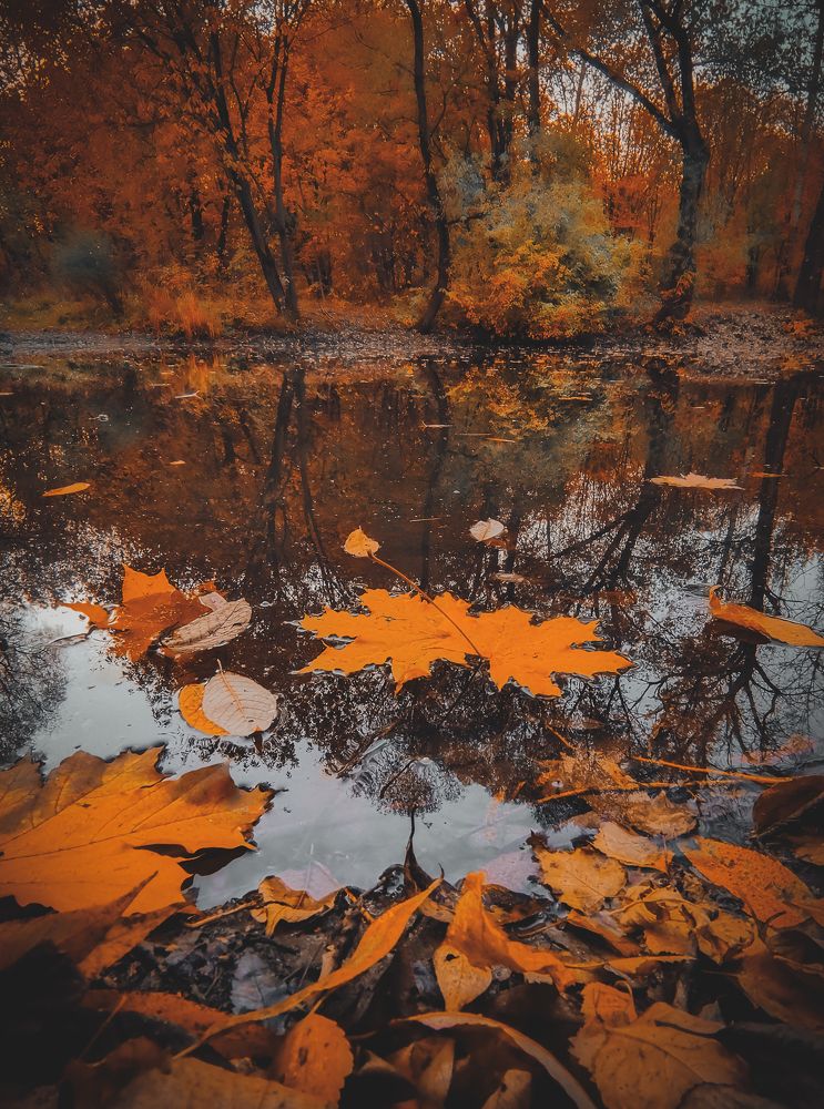 Photograph by Олег Догонов