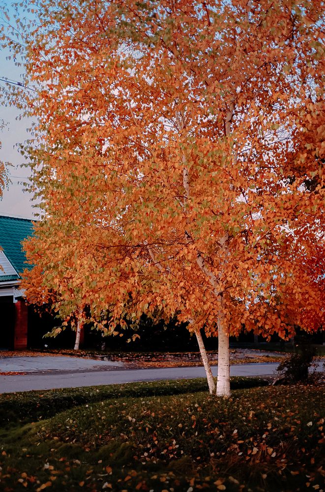 Photograph by Наталья Лобанова