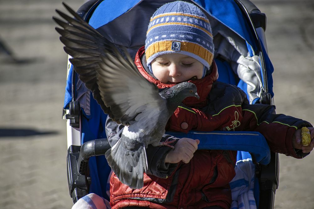 Фотография автора Андрей Гордиенко