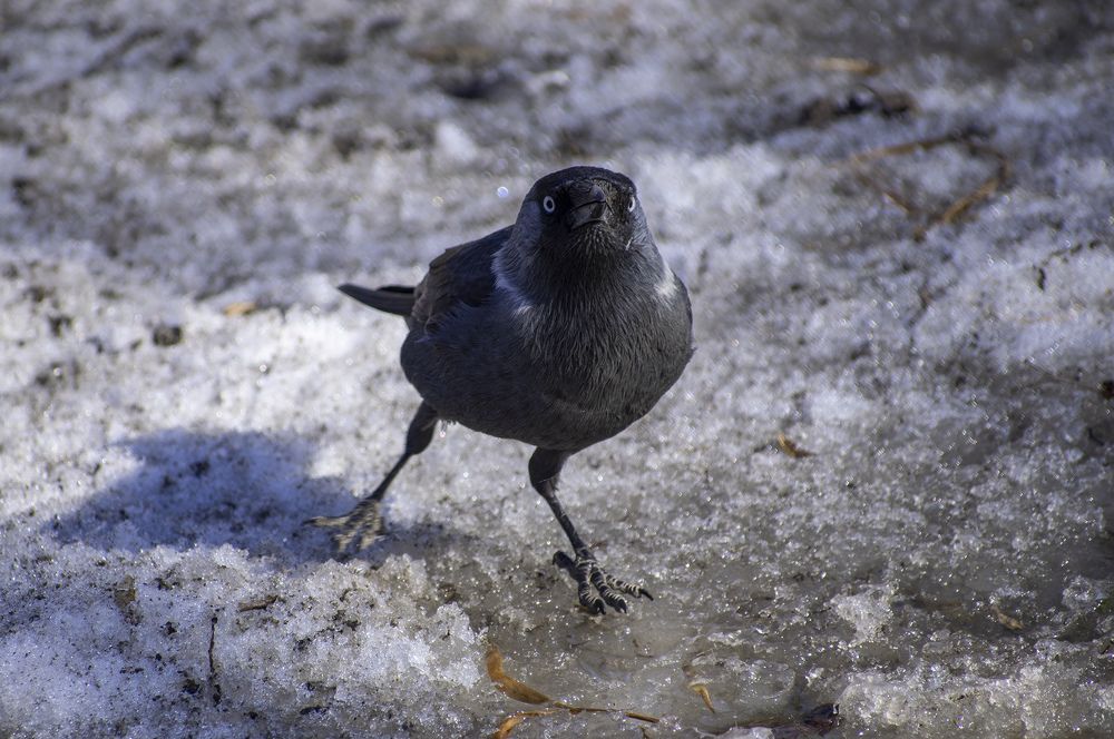 Фотография автора Андрей Гордиенко
