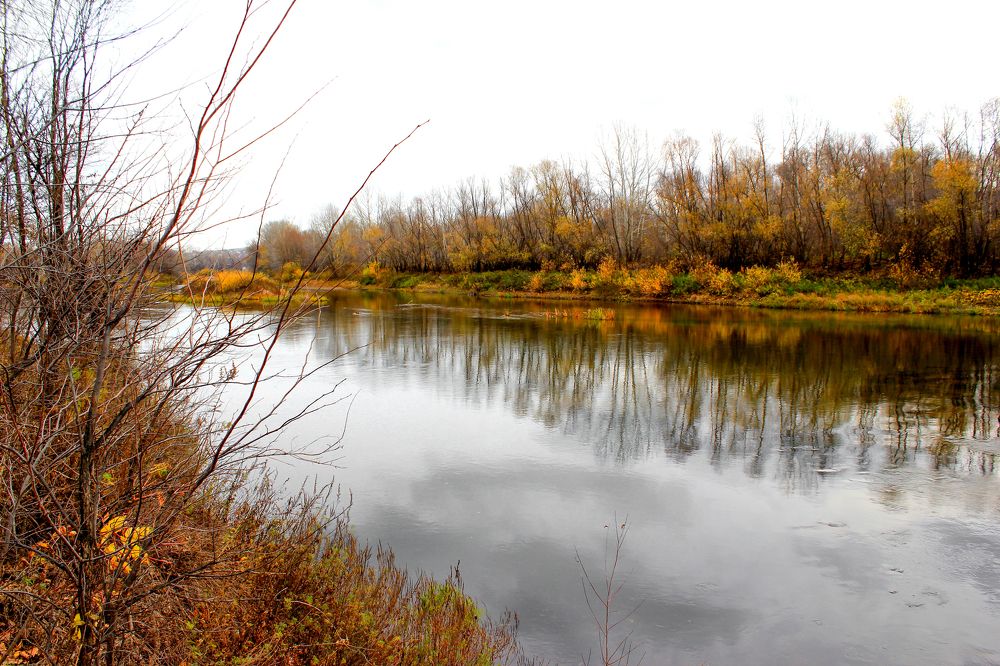 Photograph by Ольга Солодова