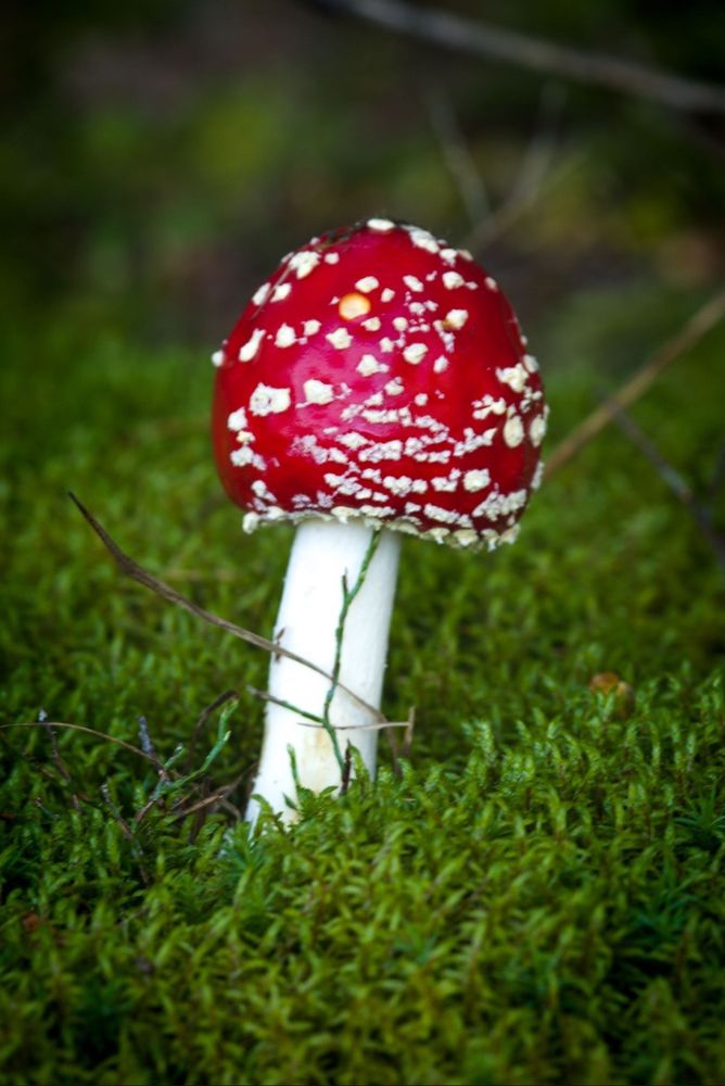 Photograph by Kateřina