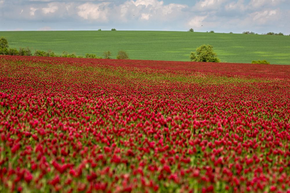 Photograph by Евгения Чех