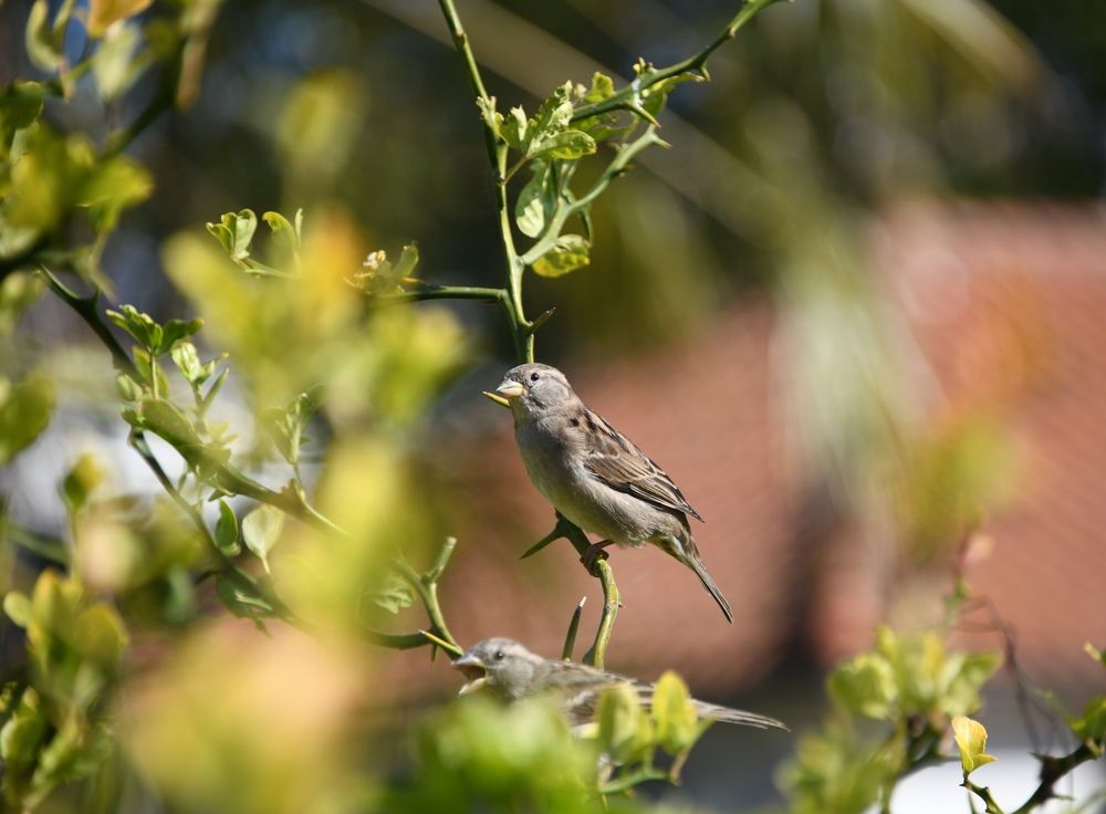 Photograph by Егор Колягин