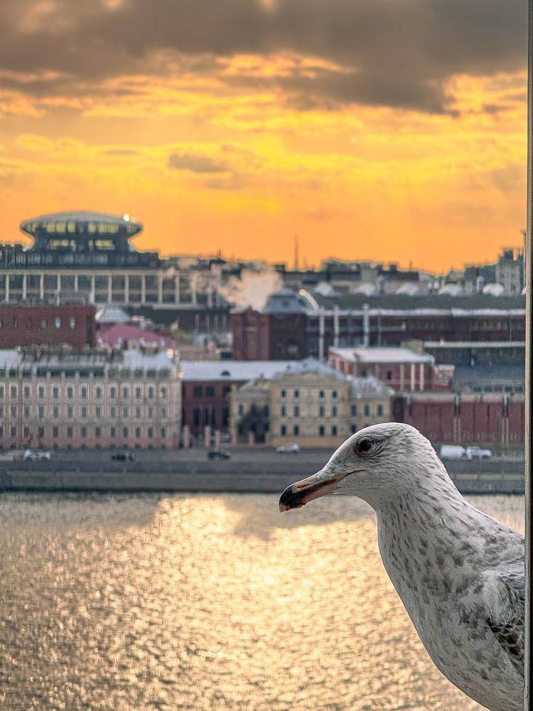 Photograph by Виктория Бердышева