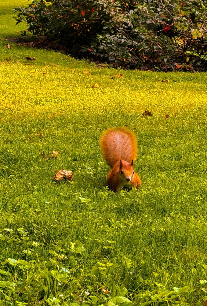 Photograph by Анна Пигулевская