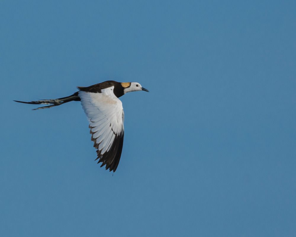 Photograph by RAJKUMAR CHETTE