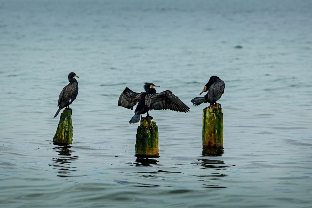 Photograph by Денис Дорошенко