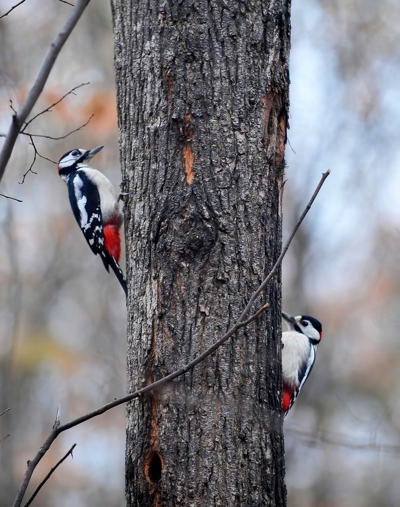 Photograph by Алексей Volg