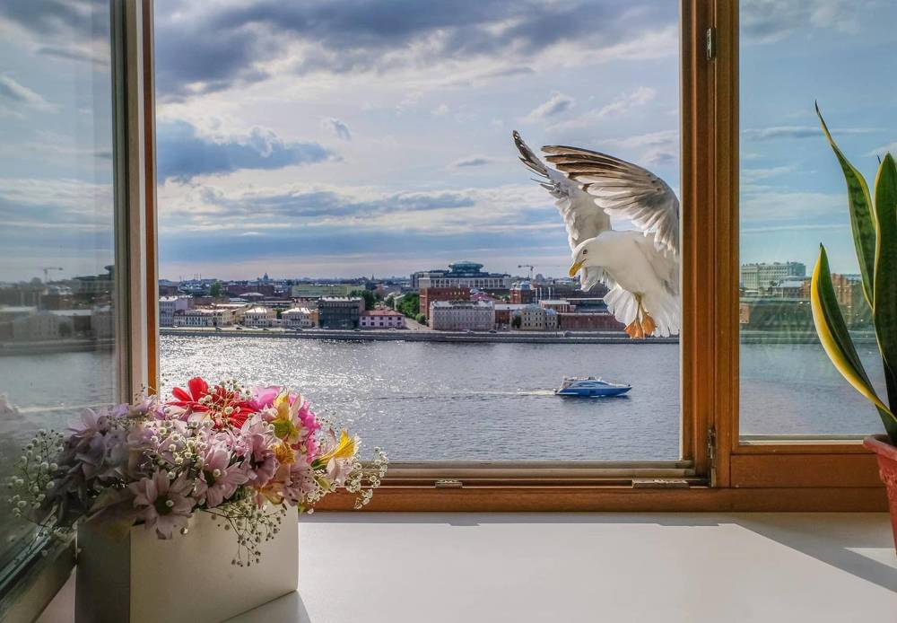 Photograph by Виктория Бердышева