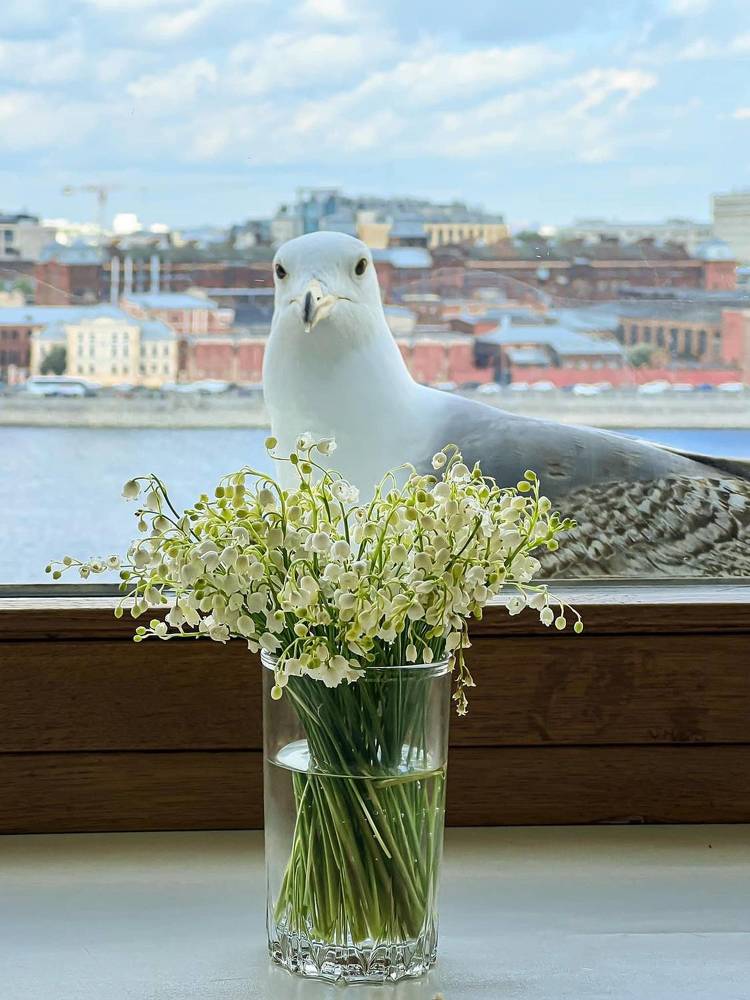 Photograph by Виктория Бердышева