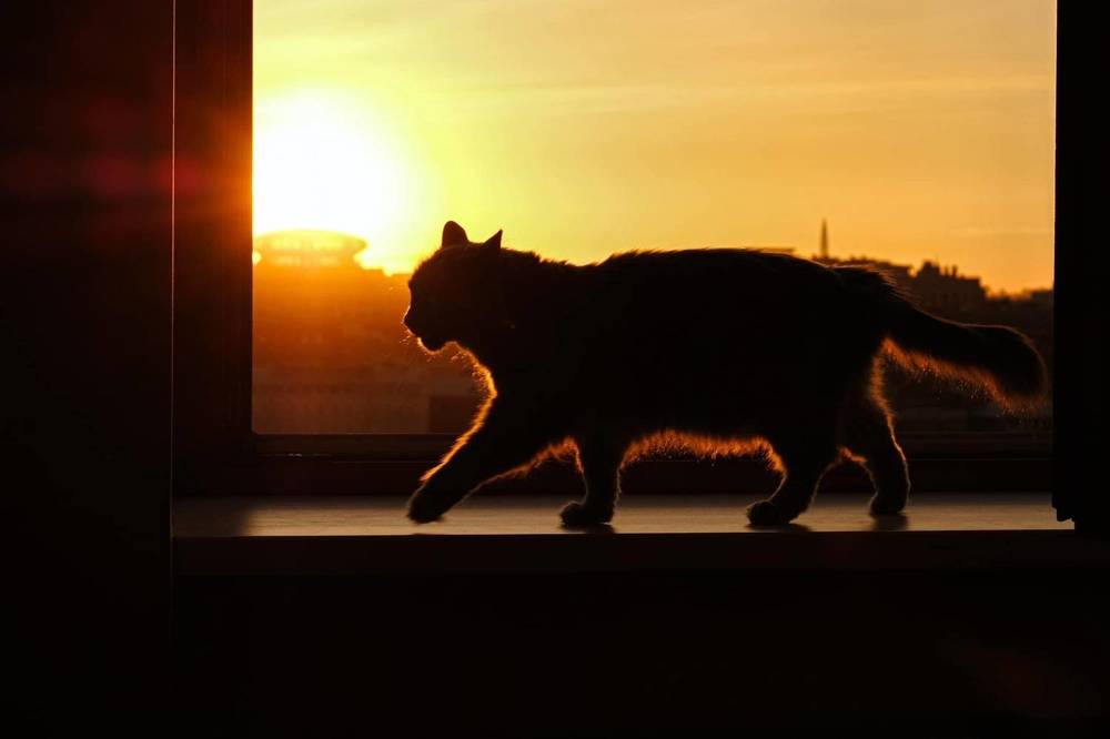 Photograph by Виктория Бердышева