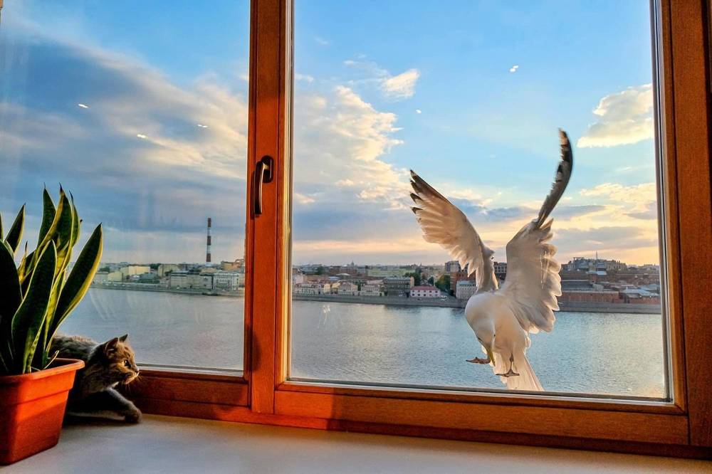 Photograph by Виктория Бердышева