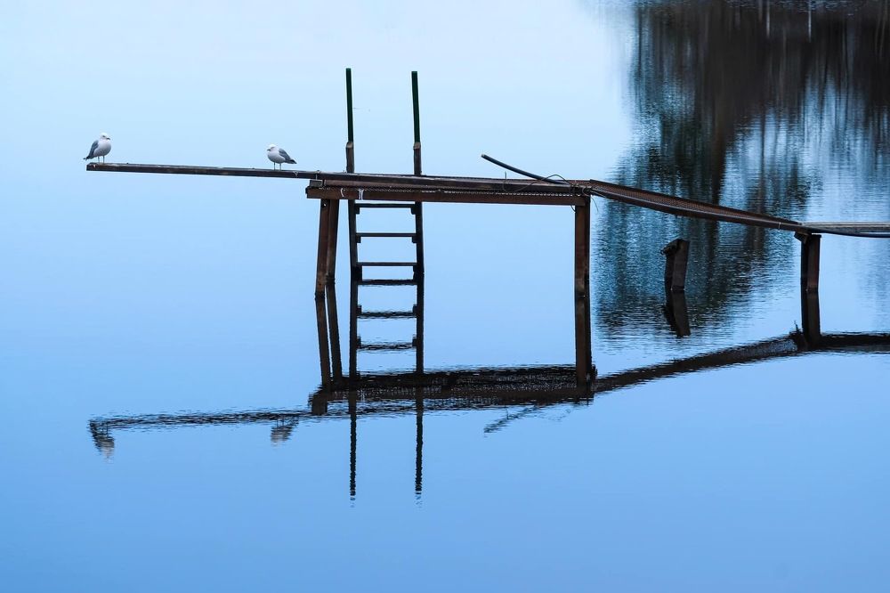 Photograph by Виктория Бердышева