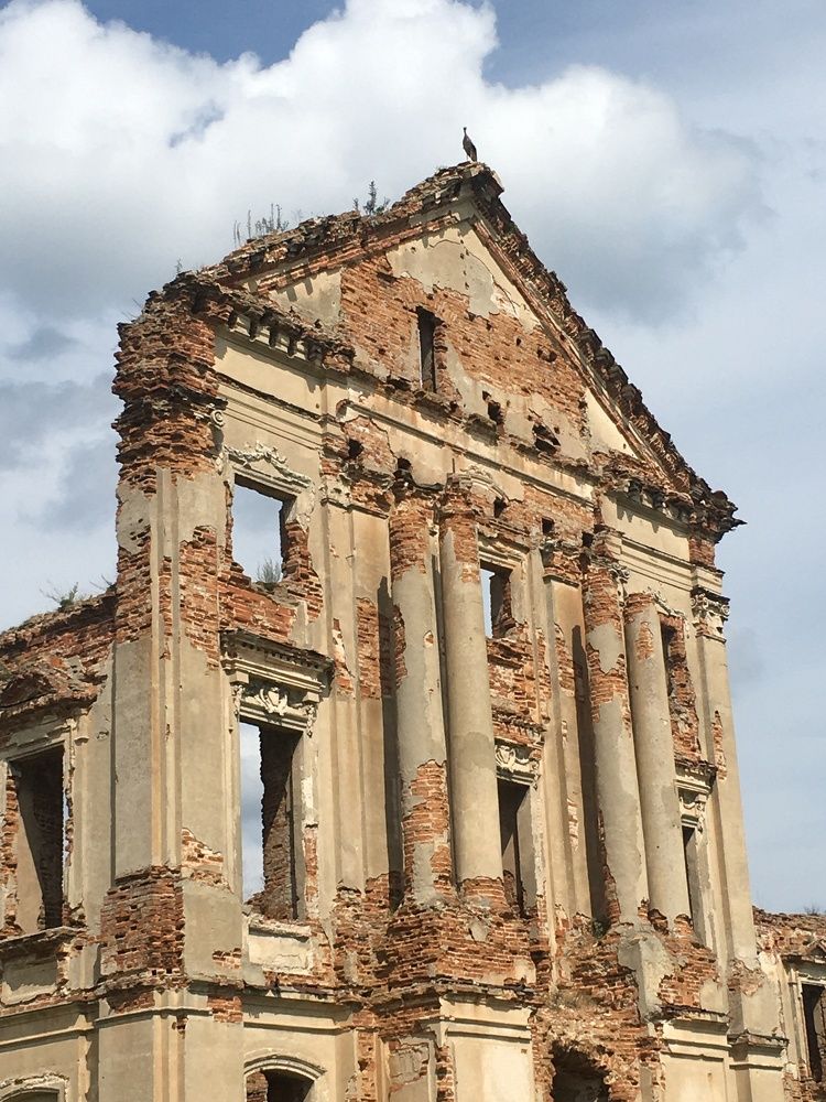 Фотография автора Ольга Каминская