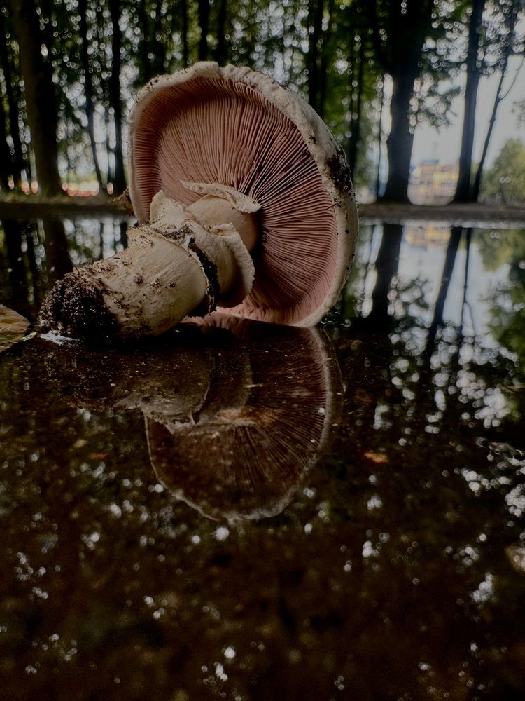 Photograph by Олеся Кузьмичева