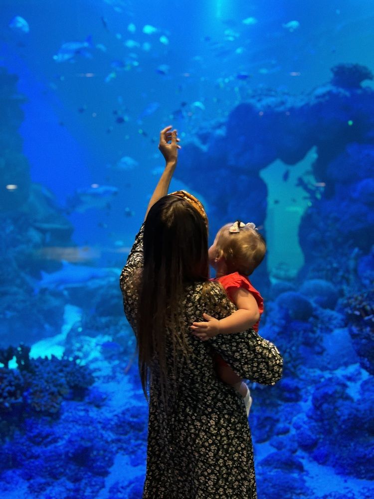 Photograph by Олеся Кузьмичева