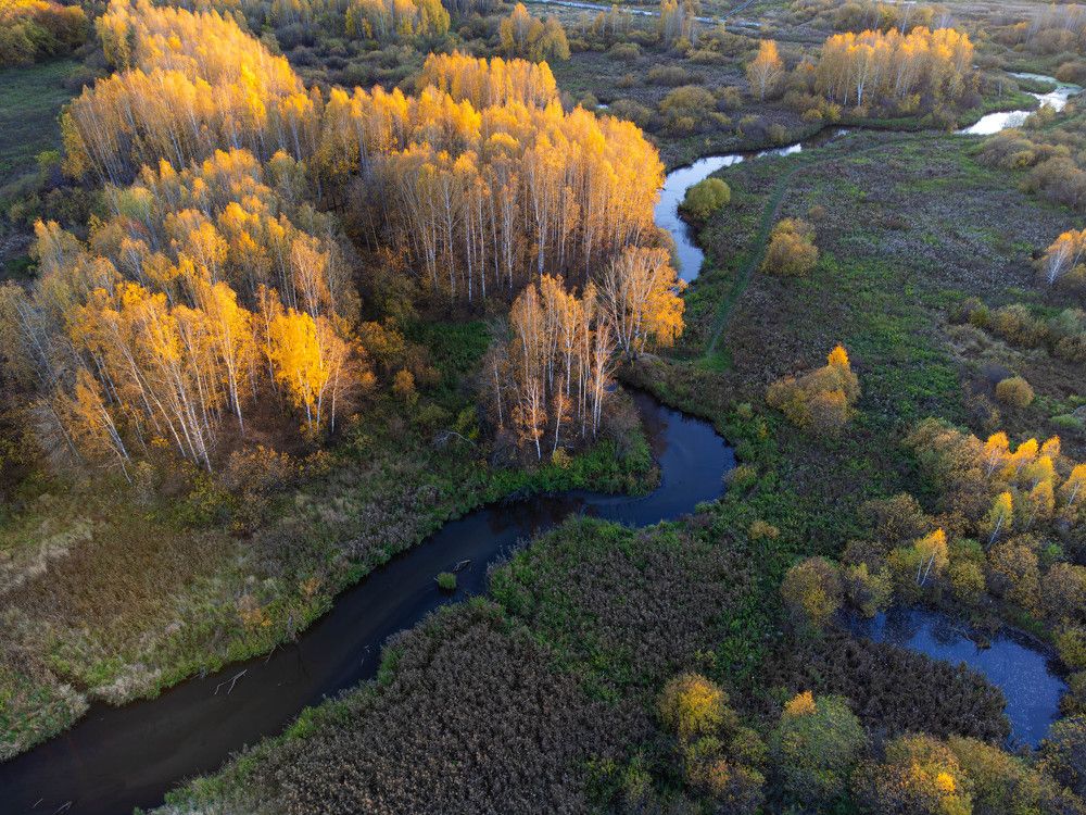 Photograph by Манаков Илья