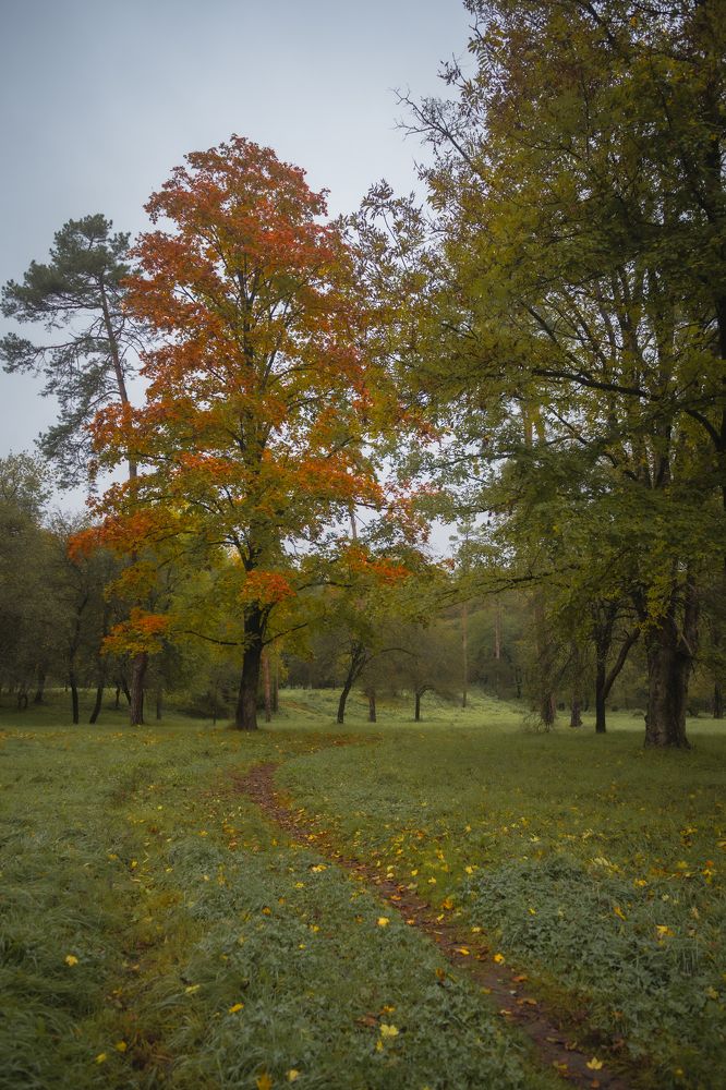 Фотография автора Дмитрий Referee