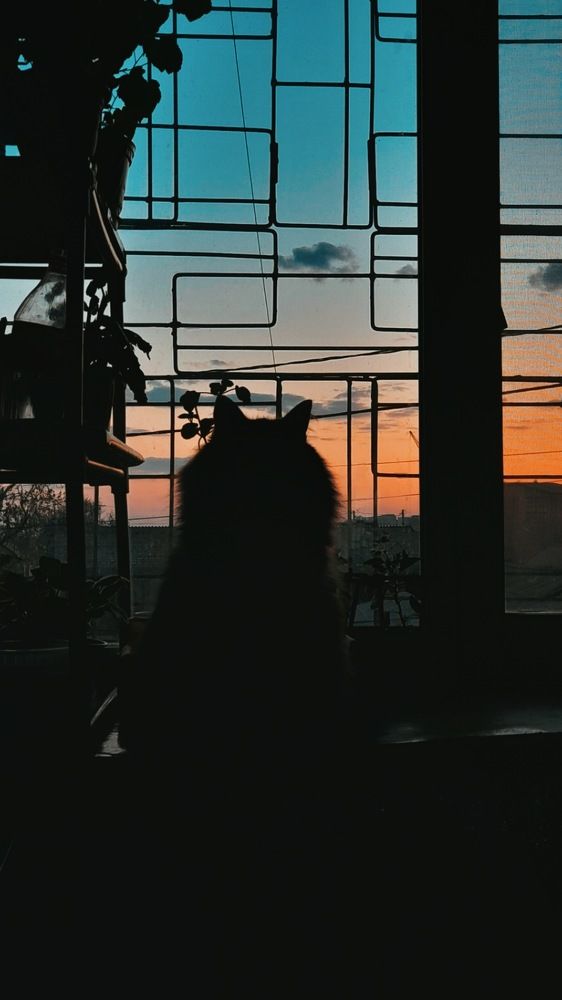 Фотография автора Анна Морозова