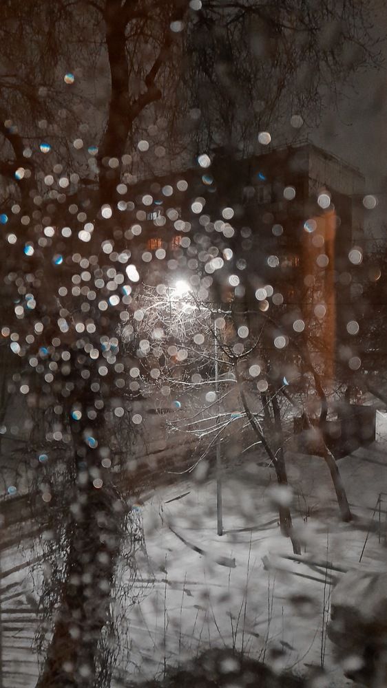 Фотография автора Анна Морозова