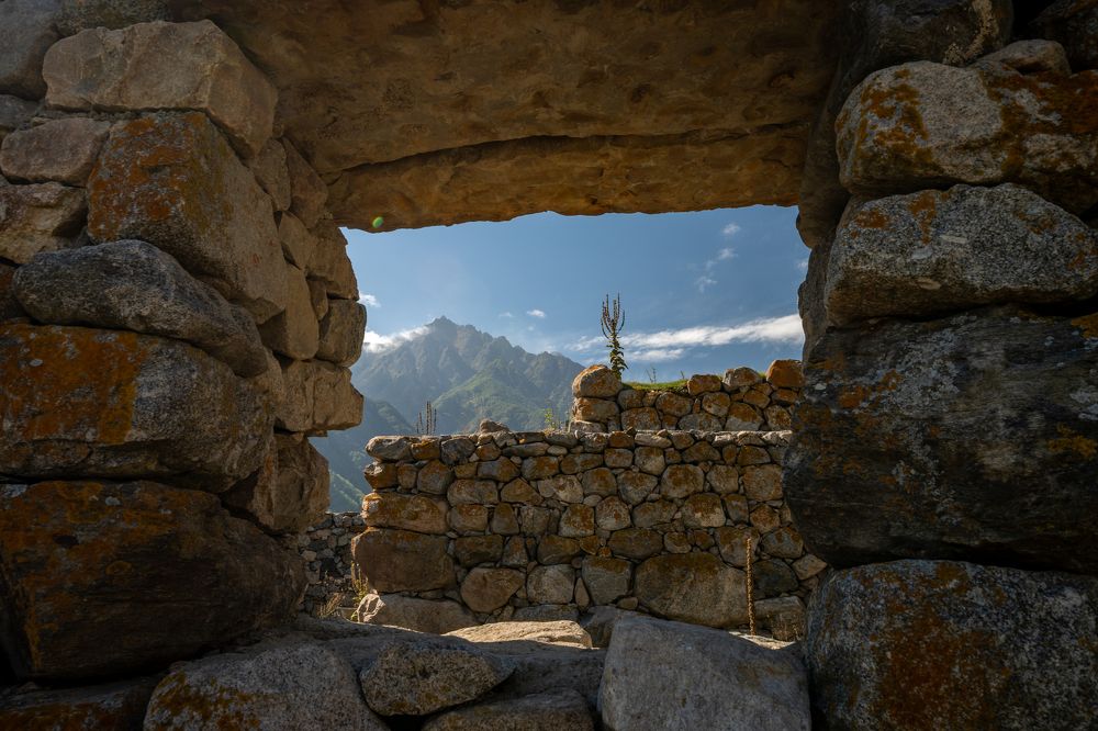 Фотография автора Дмитрий Referee