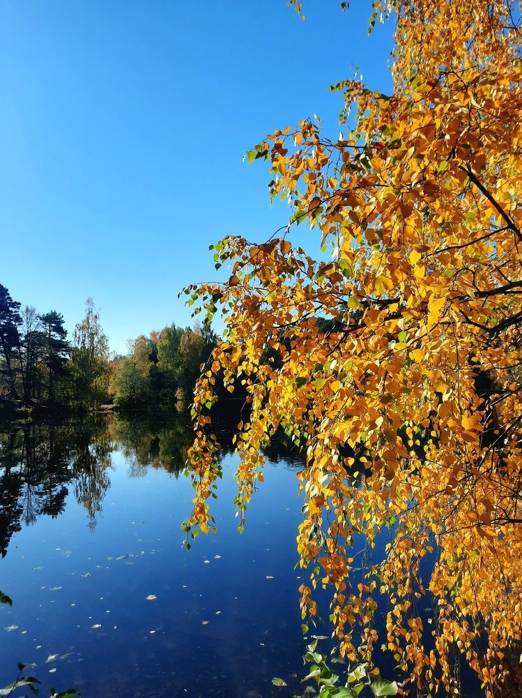 Photograph by Татьяна