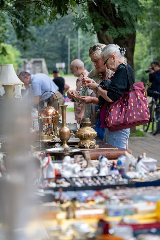 Фотография автора Дмитрий Referee