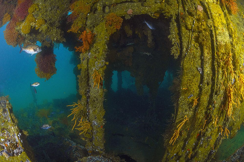 Creating Pillars of New Life