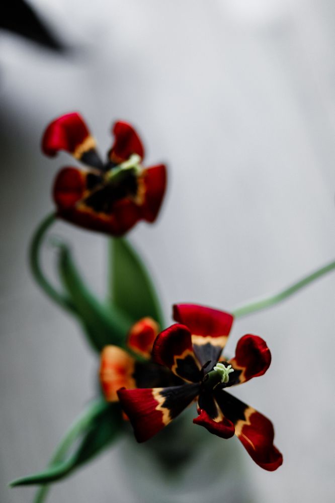 Photograph by Наталья Пагоцкая