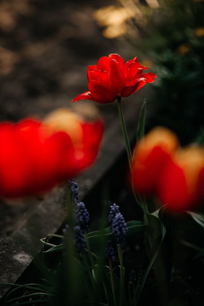 Photograph by Наталья Пагоцкая