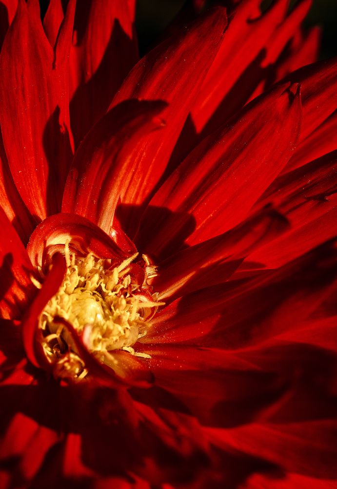 Фотография автора Ольга Анисимова