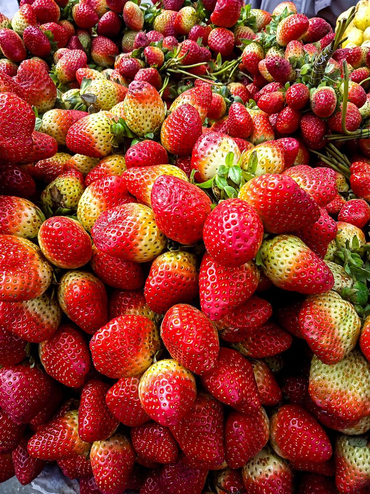 Photograph by Shahzad