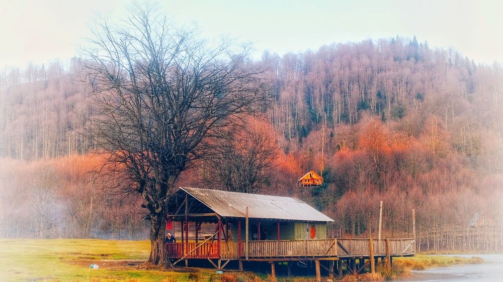 Фотография автора Irina Krasnopevzeva