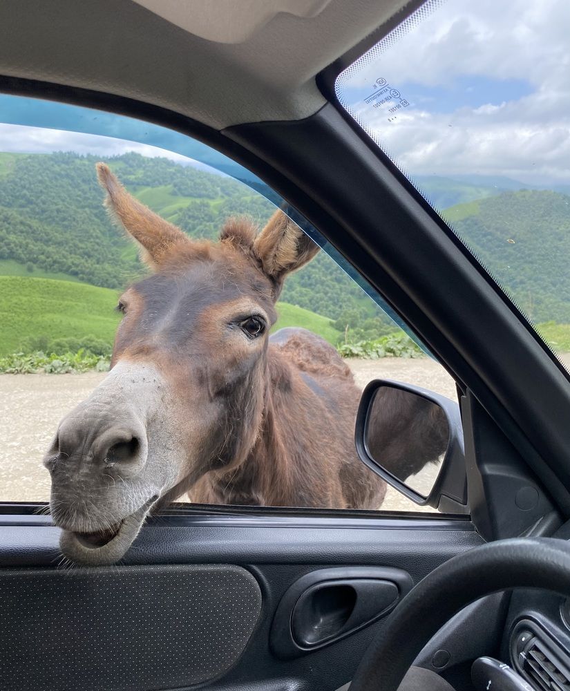 Photograph by Алиса Лукина