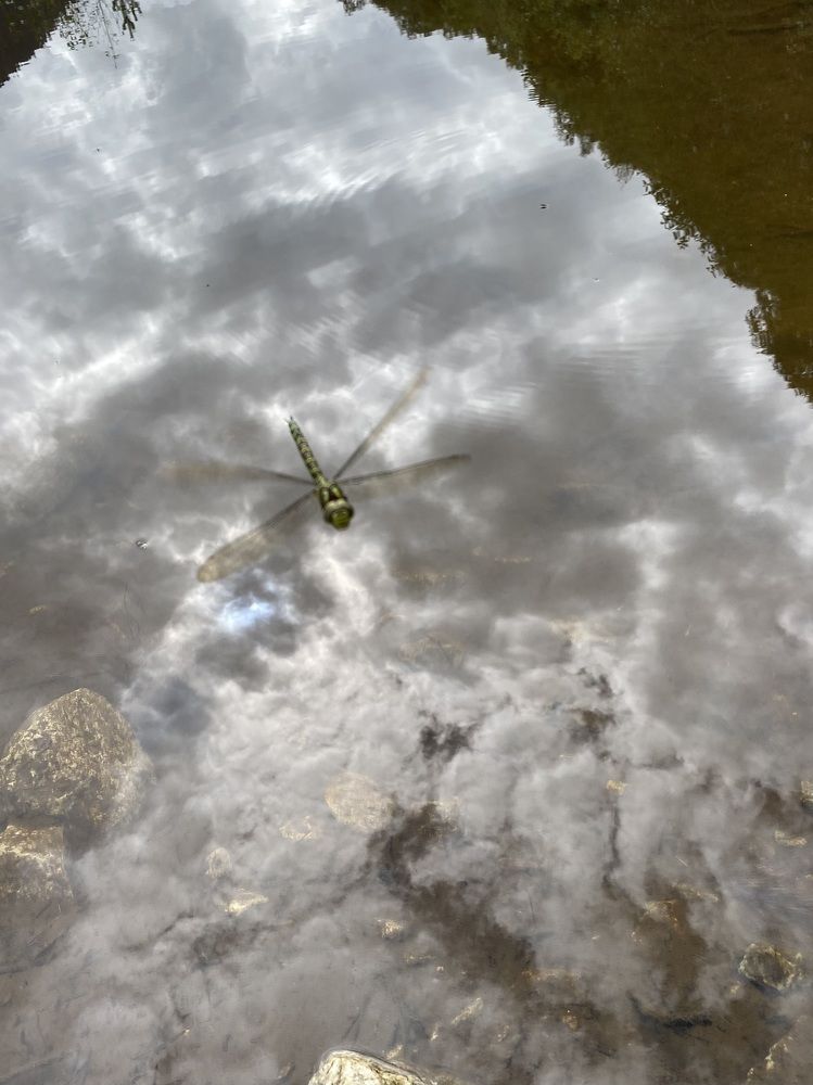 Photograph by Алиса Лукина