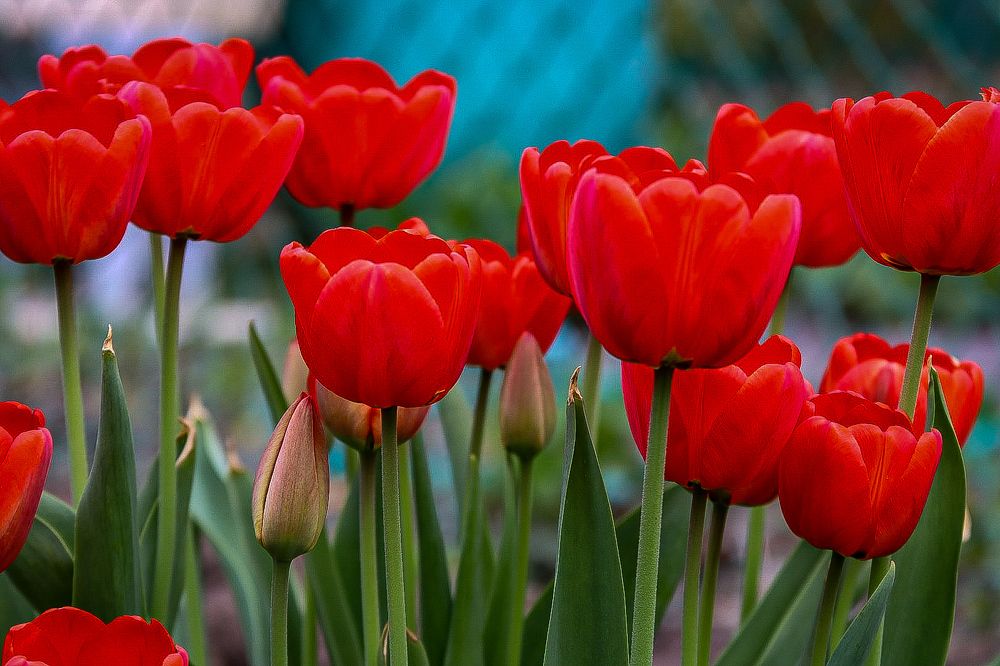 Photograph by Елена Рудкевич