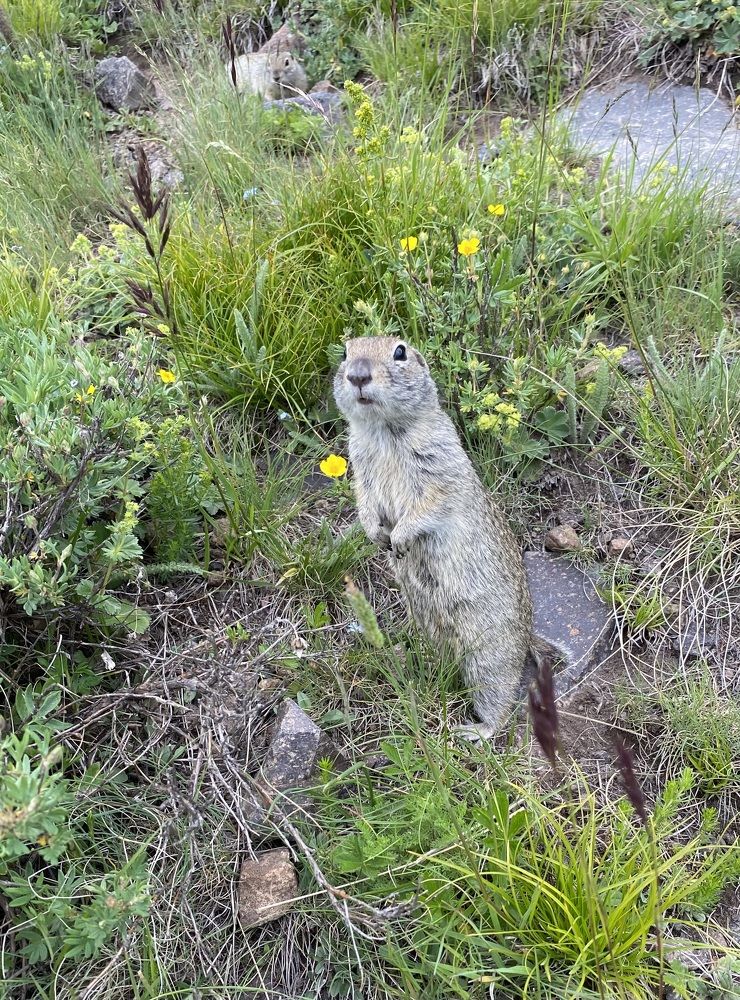 Photograph by Алиса Лукина