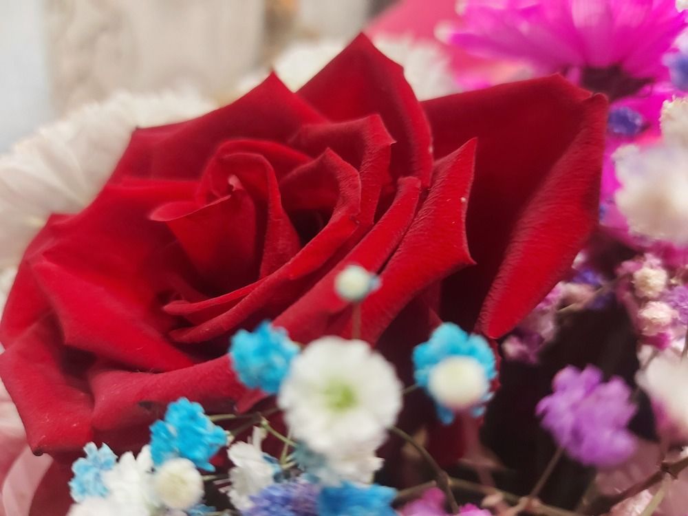 Photograph by Ирина Петракович