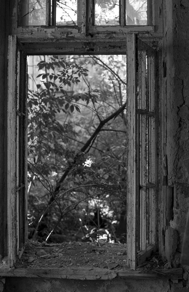 Photograph by Игорь Круглов