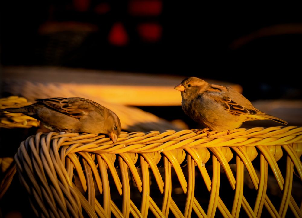 Правила этикета