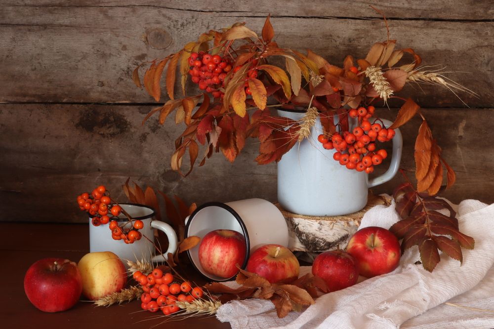 Photograph by Елена Рудкевич